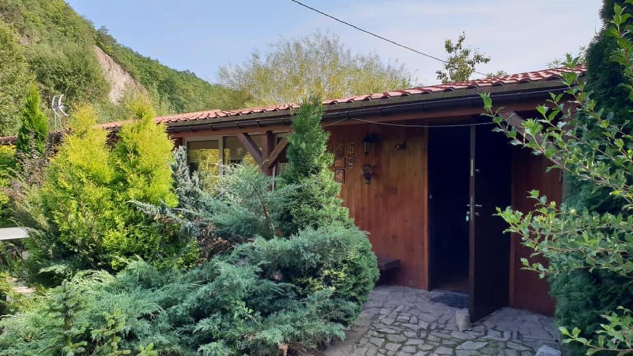 Villa Eden à Sedziszowa Extérieur photo
